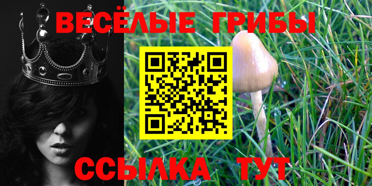 Галлюциногенные грибы MAGIC MUSHROOMS Краснокамск